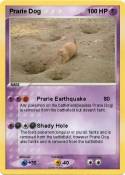 Prarie Dog