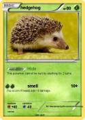 hedgehog