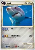 shark