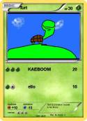 Turt
