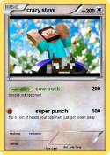 crazy steve