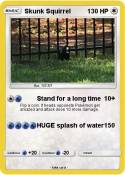 Skunk Squirrel