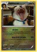 fighting cat