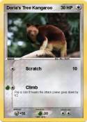 Doria's Tree Kangaroo Doria's Tree