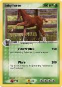 baby horse baby horse