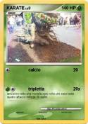 KARATE