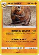 MEGA BOBER