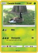 Canada Goose