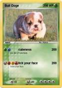 Bull Doge