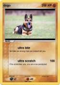 dogo