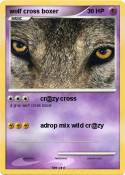 wolf cross boxer wolf cross