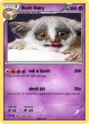 Bush Baby