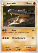 Crocadile