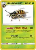 YELLOW JACKET