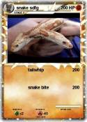 snake sdfg