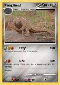 Pangolin