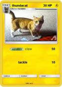 thundacat