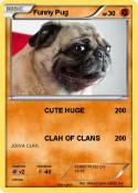 Funny Pug