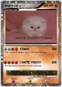 angry cat