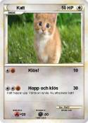 Katt