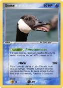 Goose