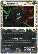 Hollyleaf EX