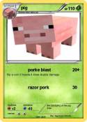pig