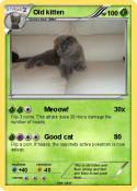 Old kitten