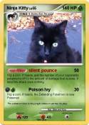 Ninja Kitty
