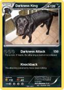 Darkness King