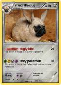 chinchilla-pug