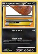 black squirtle