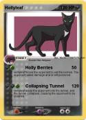 Hollyleaf