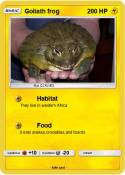 Goliath frog