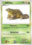 Bull Frog