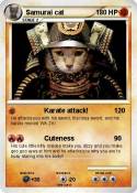 Samurai cat
