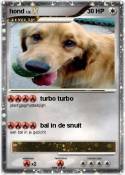 hond