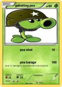 gallotting pea