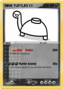MINE TURTLES XY