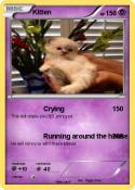 Kitten