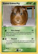 Scared Guinea