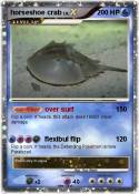 horseshoe crab