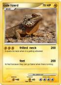 cute lizard