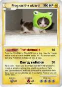 Frog cat the