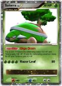 Torterra