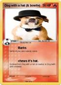 Dog with a hat