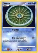 Diatoms