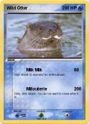 Wild Otter