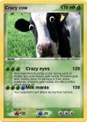 Crazy cow