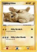 Lighting Kitten